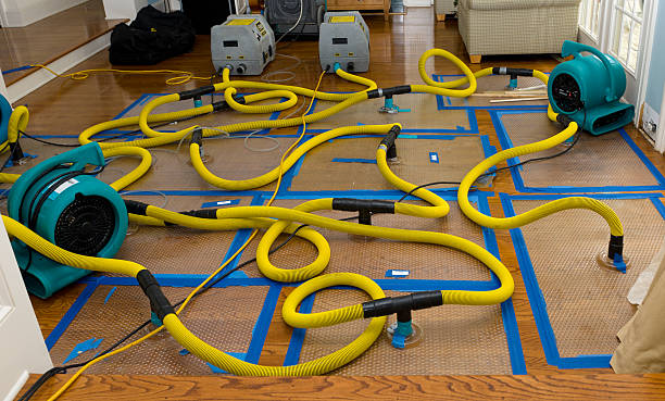 Professional Basement Flood Cleanup technician working in Franklin Park, PA